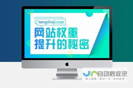 整站优化：从技术到内容，构建高性能、高转化网站的完整指南